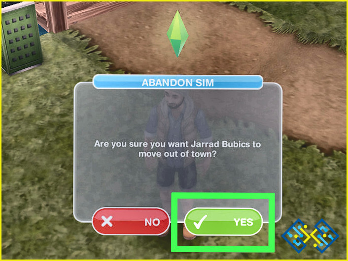 ¿Cómo borrar los Sims?
