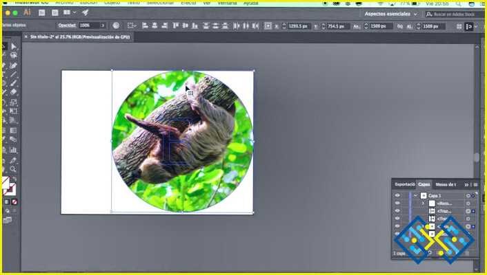 ¿Cómo insertar una imagen en Adobe Illustrator? ✔️ lizengo 【 2023 】