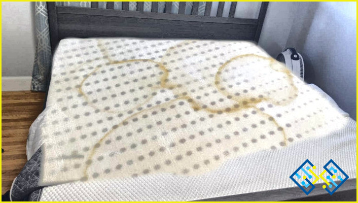 ¿Cómo limpiar la caca del colchón de espuma de memoria?
