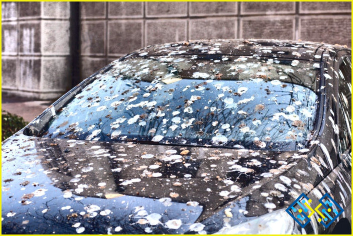 Cómo eliminar las manchas de óxido de la pintura del coche blanco?
