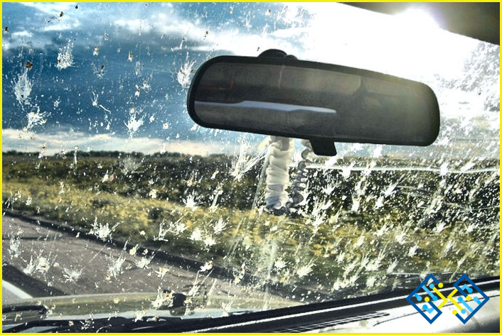 ¿Cómo limpiar los insectos del parabrisas del coche?