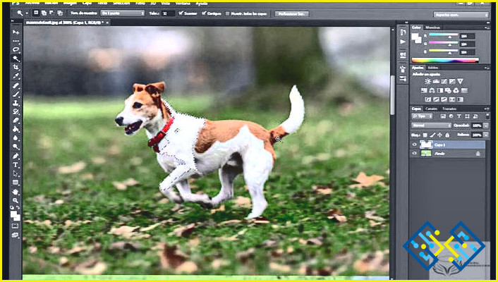 Cómo pegar una imagen en otra imagen en Photoshop?