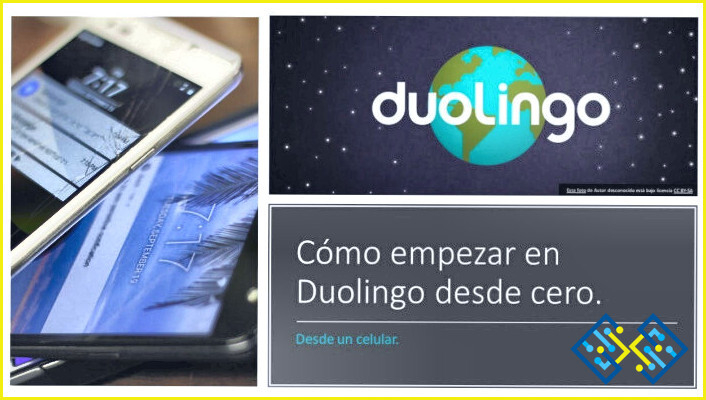 Cómo puedo empezar de nuevo en la aplicación Duolingo?