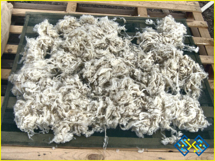 ¿Cómo limpiar la lana cruda?
