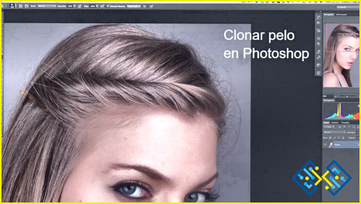 Cómo rellenar el pelo en Photoshop?
