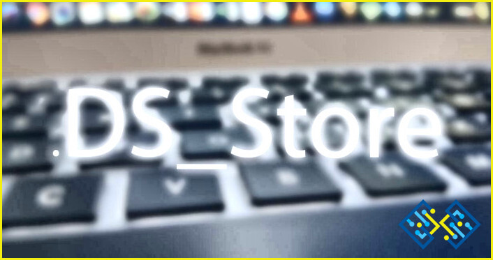 Cómo abrir el archivo Ds_store en Windows 10?