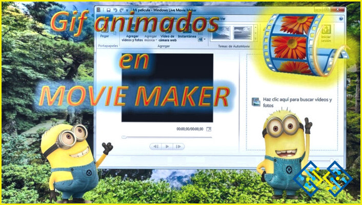 ¿Cómo utilizar los gifs en Windows Movie Maker?