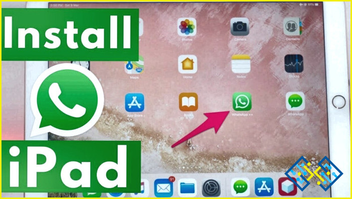 Wie installiert man Whatsapp auf dem Ipad Mini?