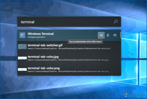 Terminal de Windows