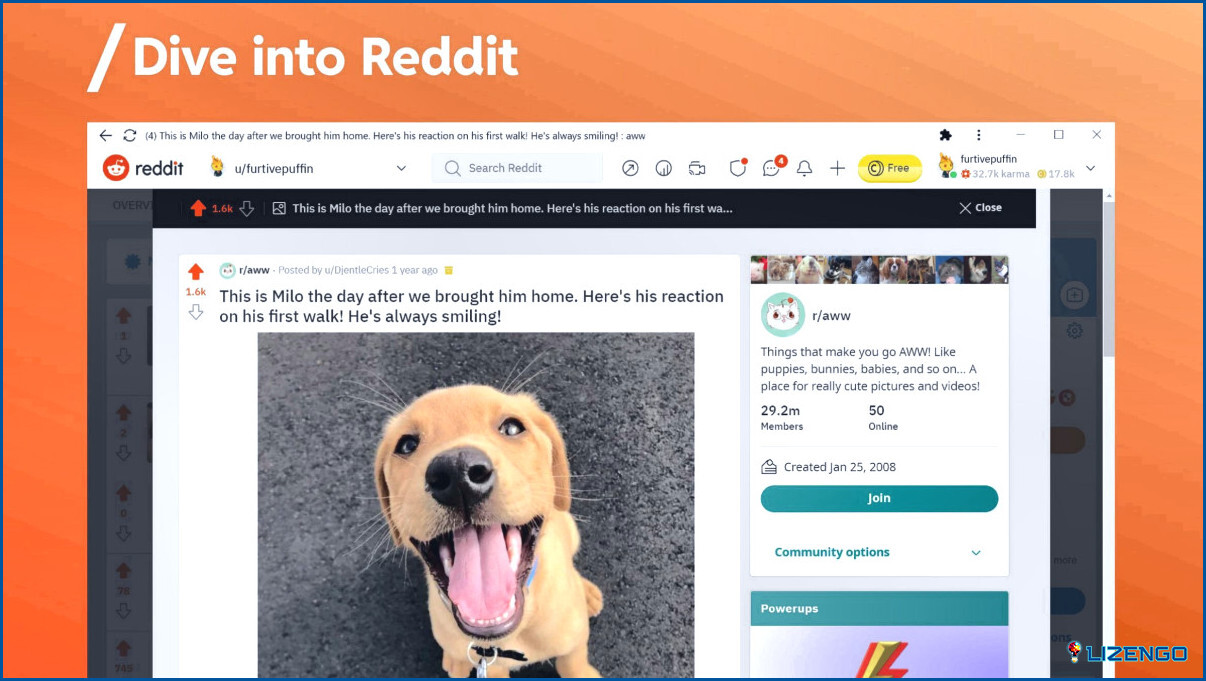 Las 10 mejores alternativas a Reddit en 2024 - Sitios como Reddit